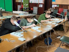 Entomology workshop -