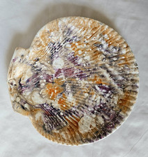 ANTIQUE WEDGWOOD MOONLIGHT