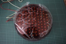 NEW Leotek 8" Red 12V DC 10W