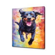 Labrador Retriever Dog Animal