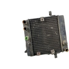 Honda Foresight 250 Radiator