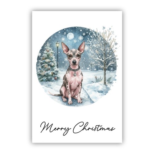 American hairless terrier - american,