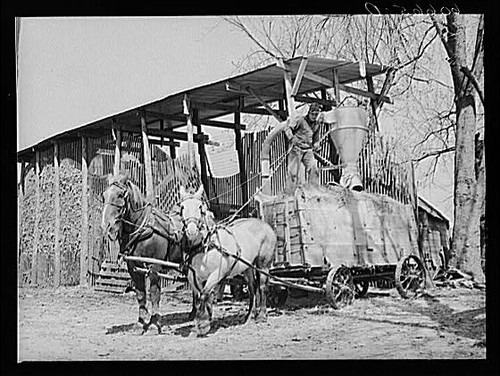 Photo grundy county iowa 1900s - photo:grundy,
