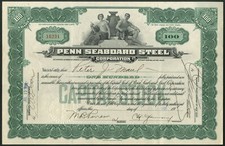U.S.A: Penn Seaboard Steel Corporation, 100 shares, 1926