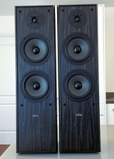 Acoustic Solutions AV 80 II