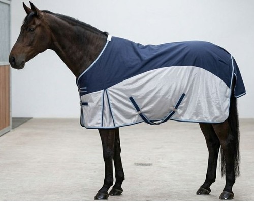 Sheldon hybrid horse - hybrid,