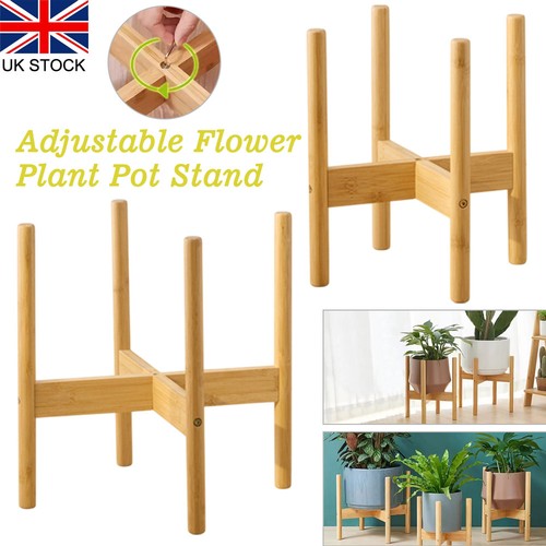 Size indoor plant - size,