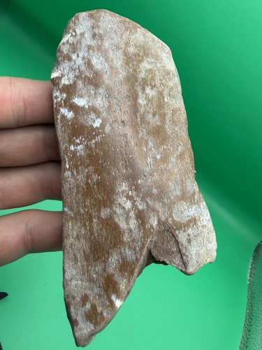 Ancient whale rib - ancient, bone