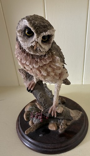 Country artists little owl - little,
