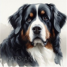 BERNESE MOUNTAIN Watercolour