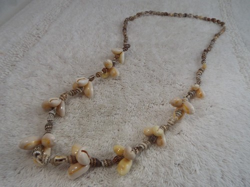 Mini brown cowrie - &,
