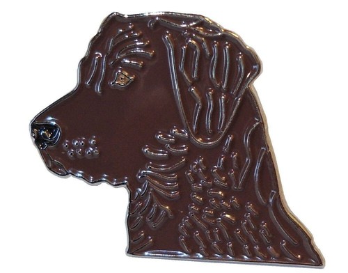 Brown labrador dog enamel - dog, pin