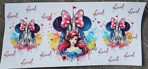 Ariel walt disney - castle, with