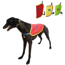Warm dog race suit - warm,