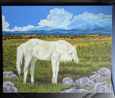 Horse pasture landscape