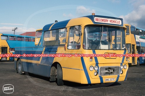 Bus photo kelvin scottish - bus,