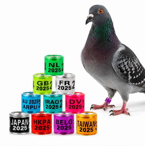100pcs 8mm bird - bird, for