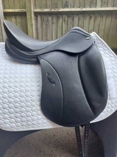 John whitaker vienna dressage - john,