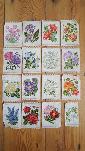 Kensitas flowers collection - kensitas, of