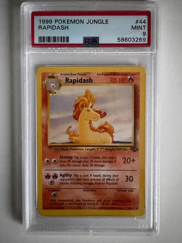 1999 pokemon jungle rapidash - pokemon,