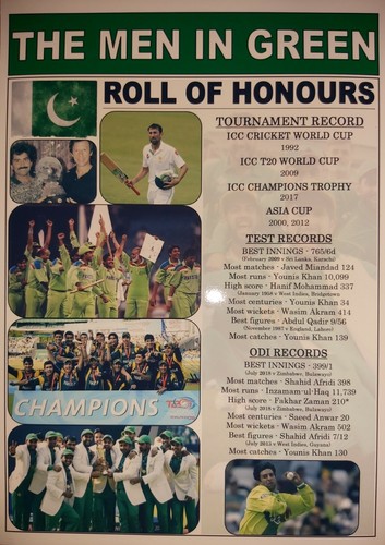 Pakistan cricket roll - pakistan,