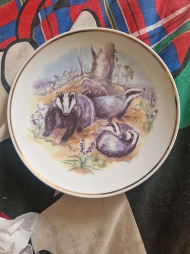 Vintage wildlife of - 70's,