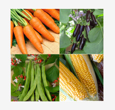 Vegetable seeds large - vegetable,