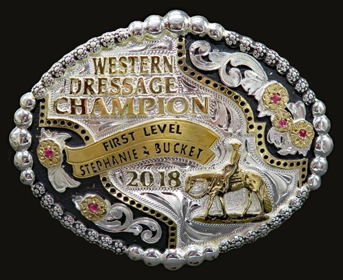 Western dressage champion - western,