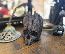 Skull planter Skull flower pot