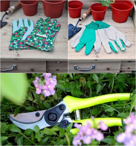 Gardening gloves hand tools - gardening,