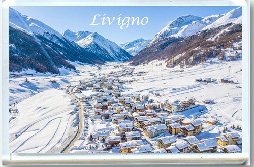 Livigno italy fridge - fridge, magnet-