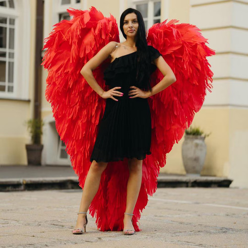 Red fluffy angel - , wings