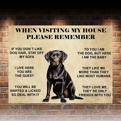 Funny cute black - black, lab