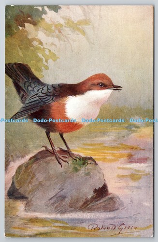 R765461 dipper bird art - r765461,