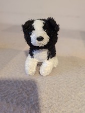 Aurora Guide Dogs Blind