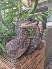 Realistic Resin Rattlesnake