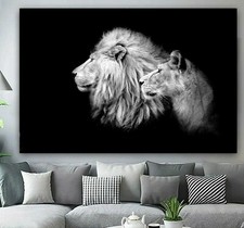King and Queen Lion Lioness