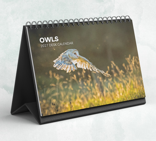 Owl desk calendar 2027 2028 - owl, 2027-2028