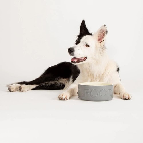 Pet food bowl - extra, dogs