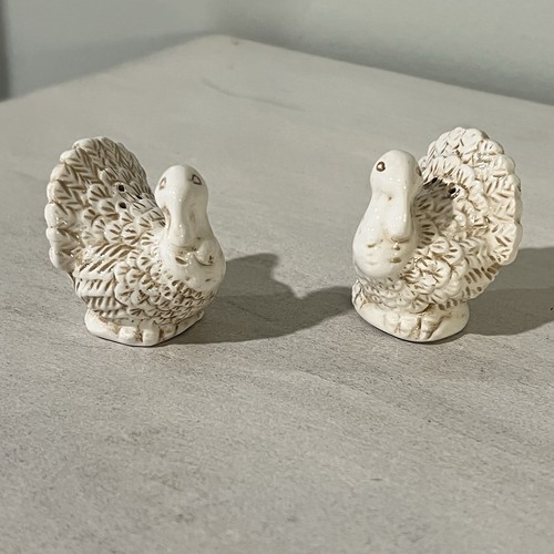Mini thanksgiving turkey - mini, salt