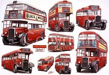 London Buses Pre-War C26 To The Modern Titan Montage  Metal Wall Art 3 Sizes