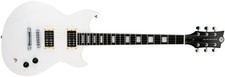 Reverend Robin Finck Signature