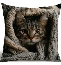 1 X Printed Cute Tabby Kitten