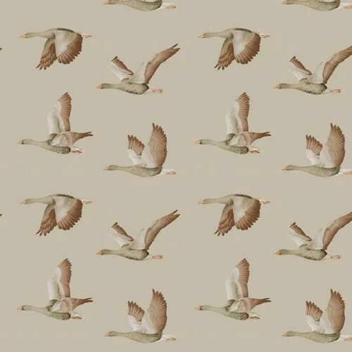 Sanderson elysian - elysian,
