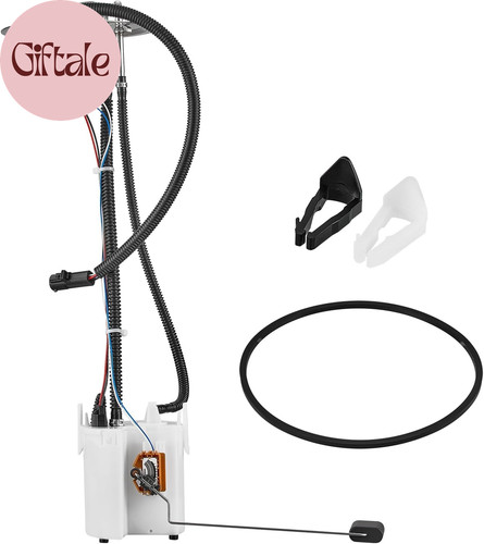 Electric fuel pump module - electric,