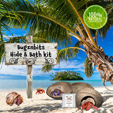 Bugznbits Hermit Crab Hide &