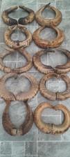 10 PAIRS Of Ram Horns