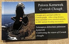 Chough Flying - Cornish