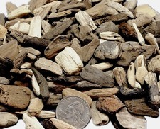 150 tiny natural driftwood - natural,