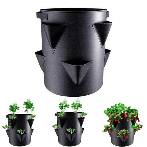 Strawberry growing pot side - pot,